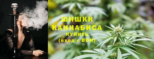 индика Тутаев