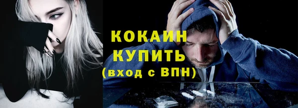 индика Тутаев