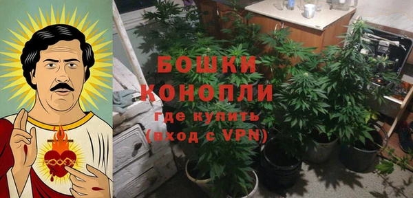 дмт Сясьстрой