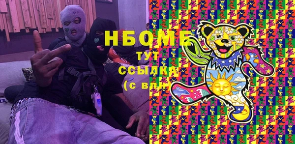 индика Тутаев