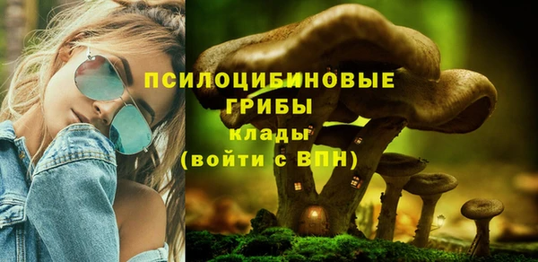 индика Тутаев