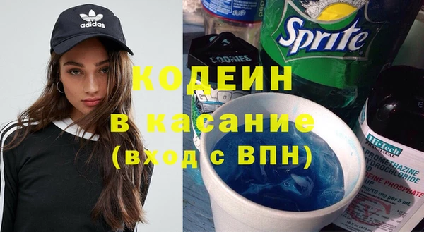 индика Тутаев
