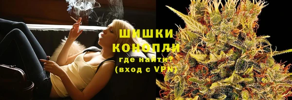 индика Тутаев