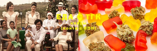 индика Тутаев