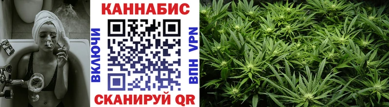 Каннабис гибрид  Яблоновский 